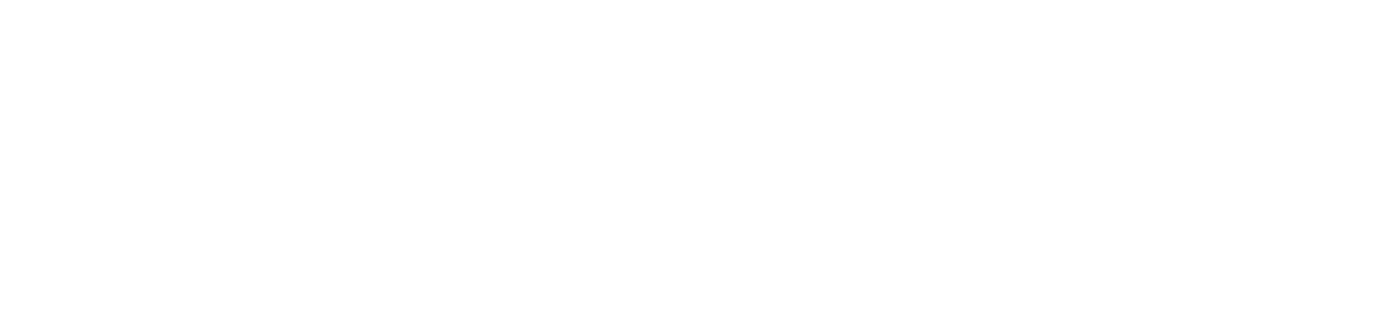 BRC_NEXA_LOGO_WHITE (2) (1)